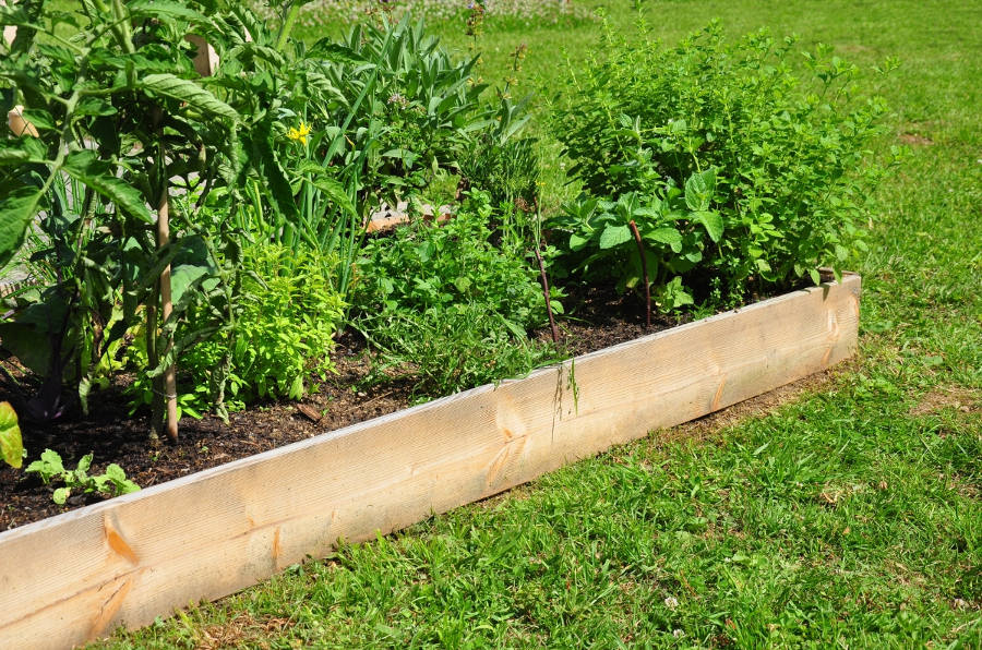 raised garden beds